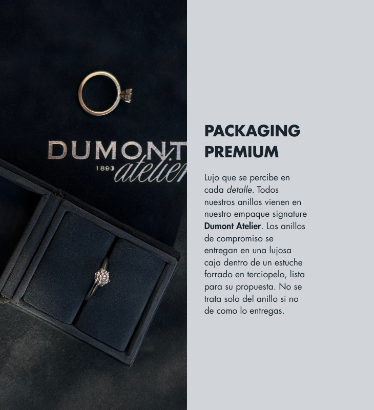 Imagen de diapositiva