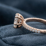 Montura media banda pavé