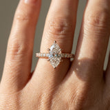 Montura media banda pavé